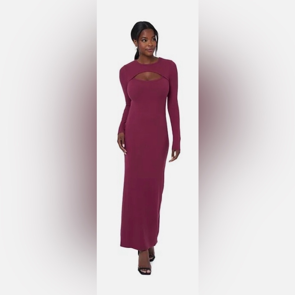 Chic Long Sleeve Wine Dress